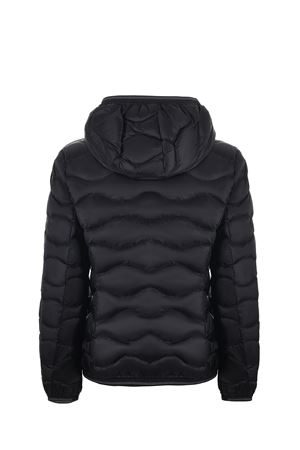 Piumino Blauer camelia BLAUER | Piumini | BLDC030956047-999EI