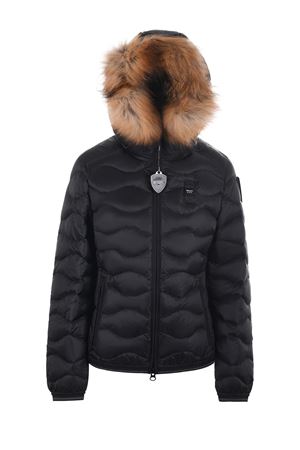 Piumino Blauer aldie BLAUER | Piumini | BLDC030966047-999EI