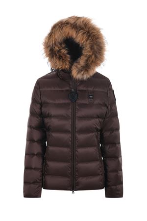 Piumino Blauer arcadia BLAUER | Piumini | BLDC030996047-365EI