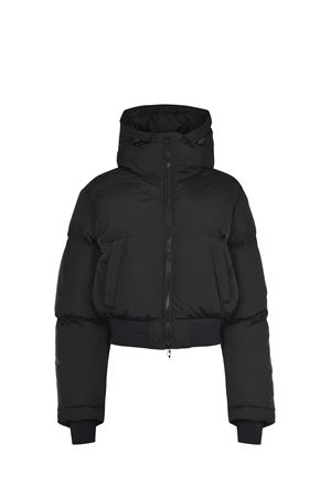 Diesel down jacket  DIESEL | Padded jacket | A153560GHBZ-9XX