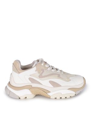 Sneakers Ash Addict ASH | Sneakers | ADDICT01TALC-VAPOUR