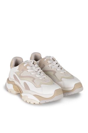 Sneakers Ash Addict ASH | Sneakers | ADDICT01TALC-VAPOUR