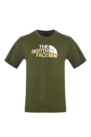  THE NORTH FACE | T-shirt | NF0A8GUXBRI1