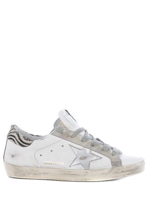 golden goose starter saldo