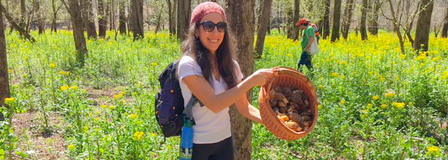 Happy Tyrant with her basket starting to fill with morel mushrooms!