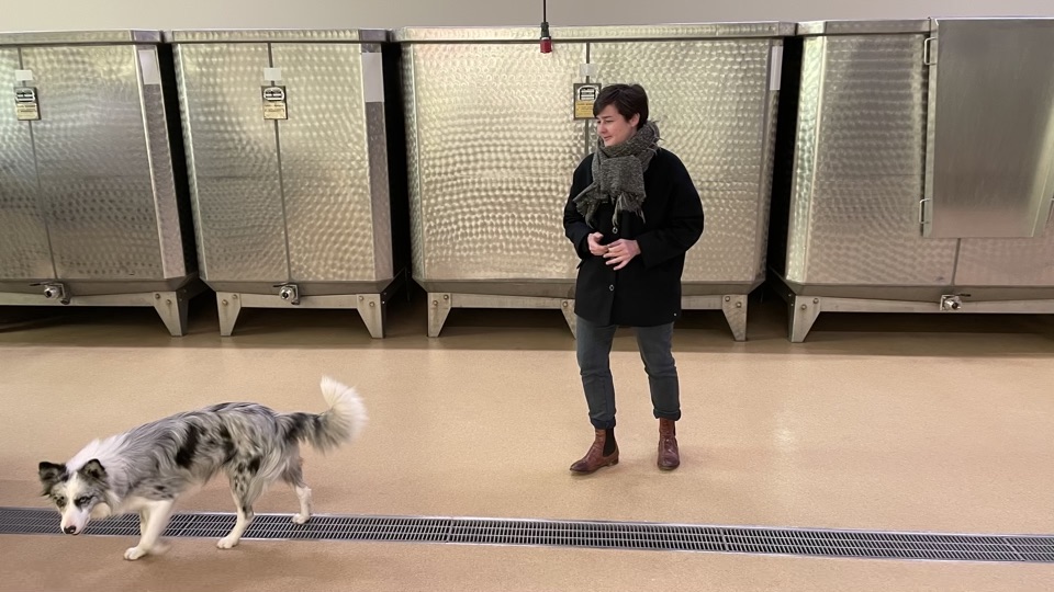 Dance the Quickstep: Burgundy 2020 (Dec 2021) | Vinous - Explore All ...