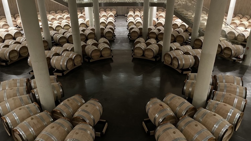 This Is Not Just Another Winery HautBailly 19642018 (Apr 2022