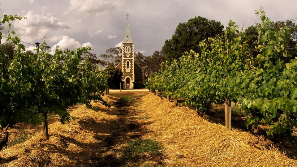 Henschke’s Hill of Grace The Garden of Eden (Apr 2023) Vinous Explore All Things Wine