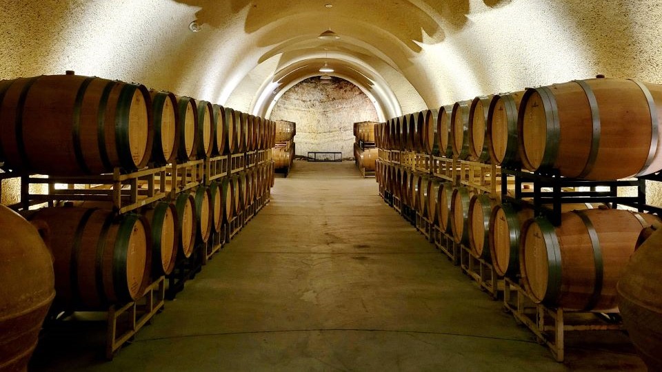 Paso Robles Boundless Diversity (May 2023) Vinous Explore All