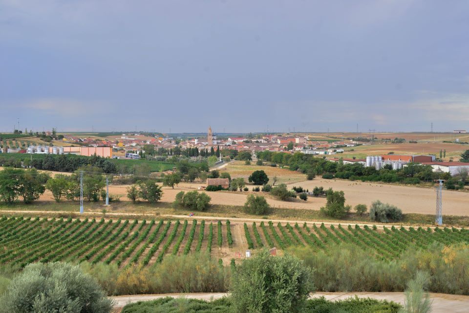 Where Is Rueda The Whites of Rueda Get Serious (Feb 2024) | Vinous - Explore All ...