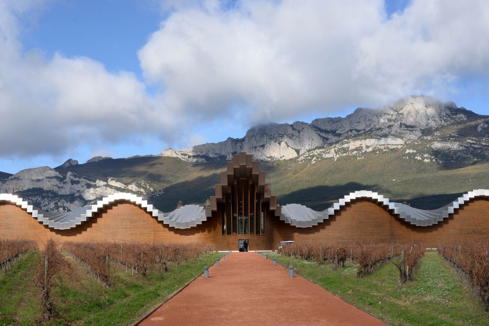 The Many Riojas of Rioja: A Tale of Forking Paths (Apr 2024) | Vinous ...