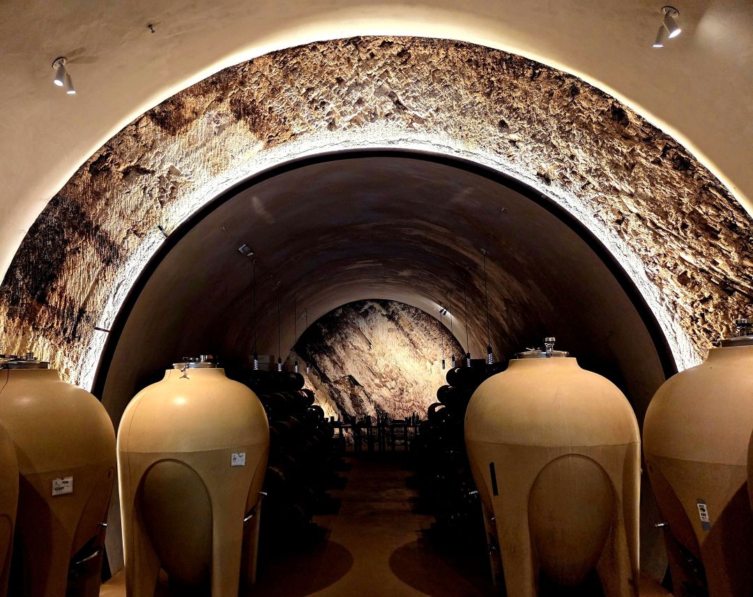 Saxum In the Sweet Spot: Paso Robles 2023s and 2024s (Apr 2026) | Vinous ...
