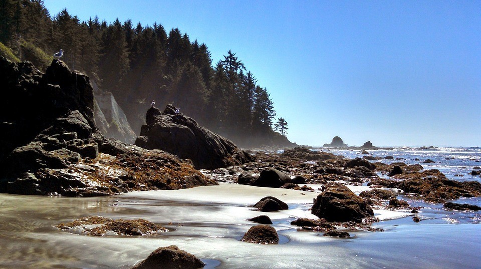 Stone Rocks Ocean Seacoast Landscape