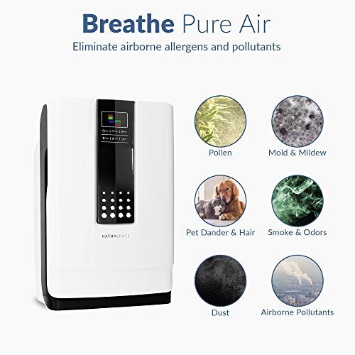 Hathaspace air purifier