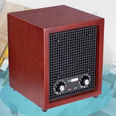 negative ion air purifier