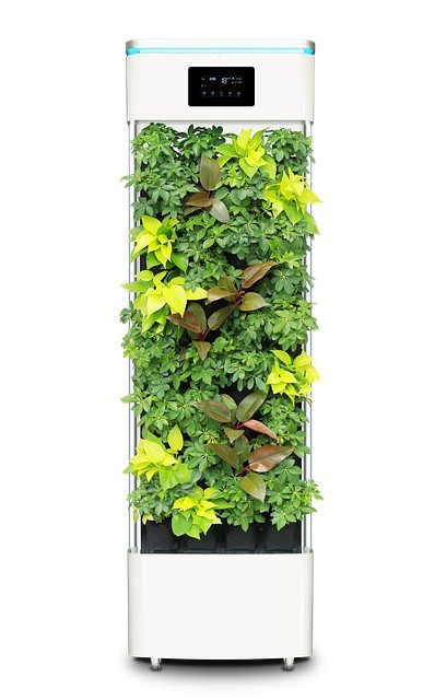 air ionizer