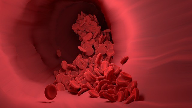 blood vessel dilation after red light therapy