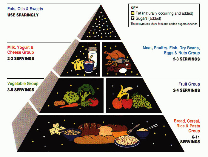 Food Pyramid 1990s