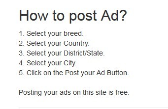 Post Your Ad