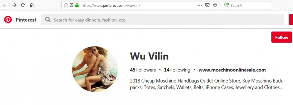 Wu Vilin's Pinterest Account