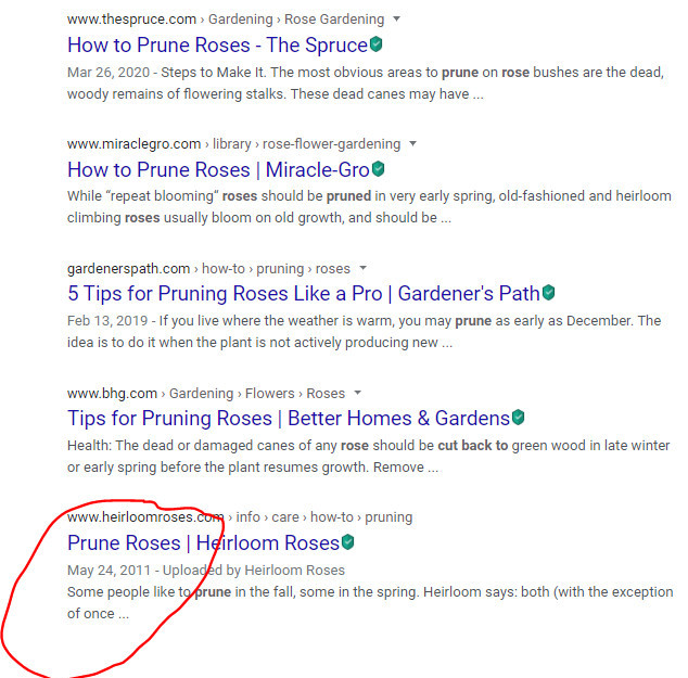 Google search results