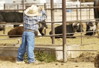 changes to the meat industry changes to the meat industry