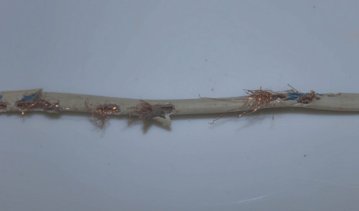 Can Bad Wiring Cause a High Electric Bill? | Bills Wiz