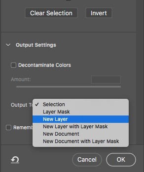 How To Create a Cartoon Effect in Photoshop - Output to New Layer