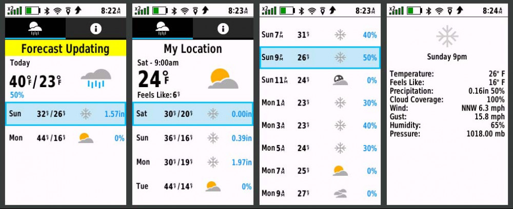 Garmin GPSMAP 67i Weather Forecast