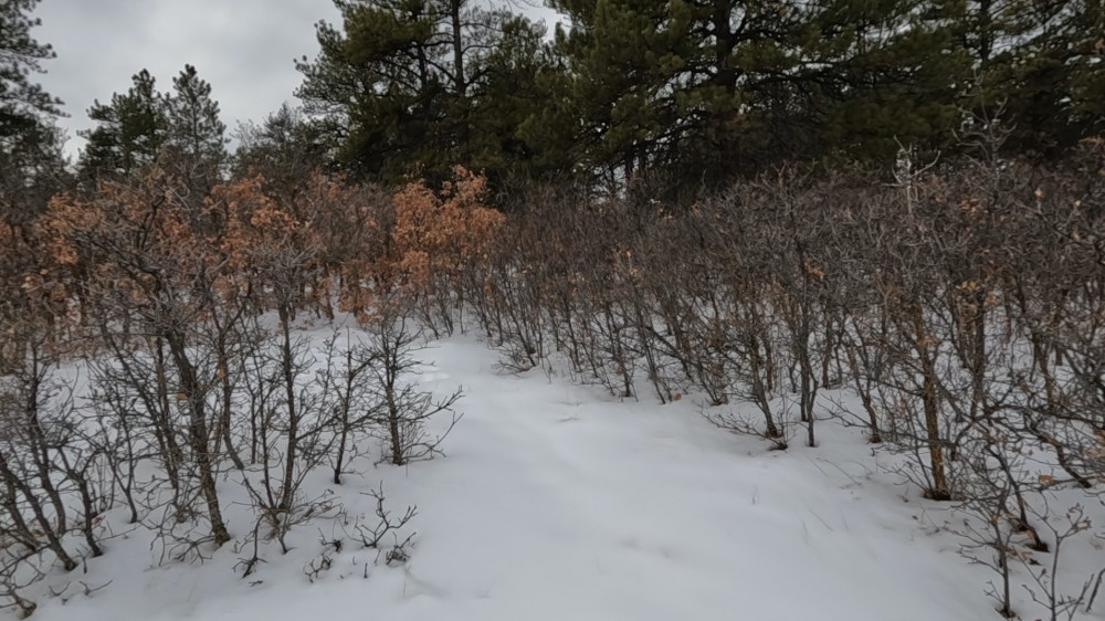 A short Hike in Colorado