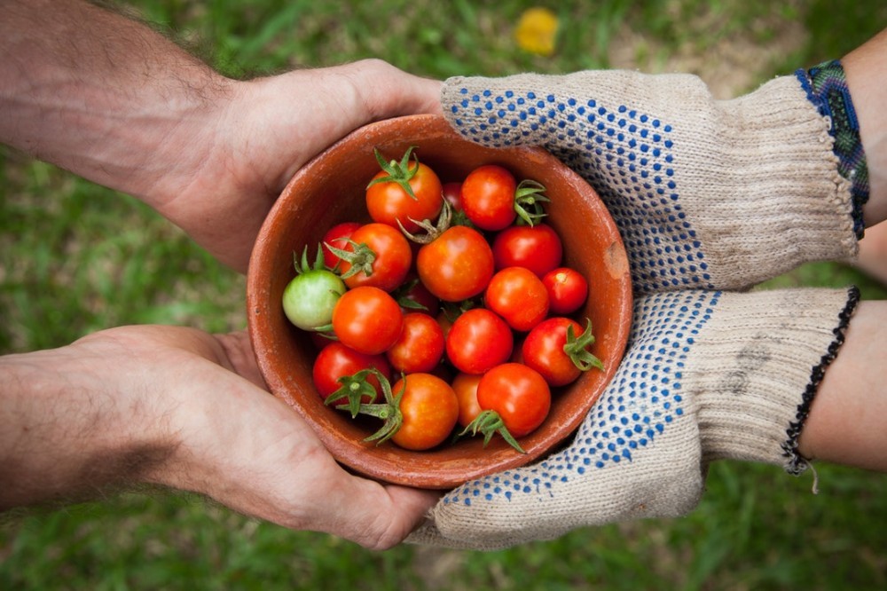How Can I Make Money From My Hobby After Retirement