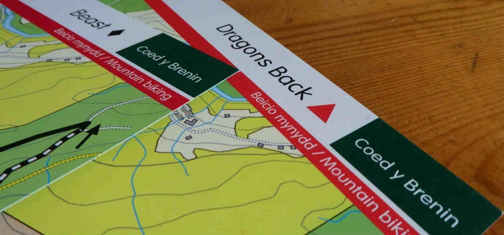 mountain biking coed y Brenin mountain biking coed y Brenin
