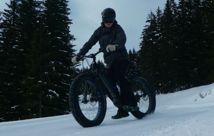 electric fat bike electric fat bike