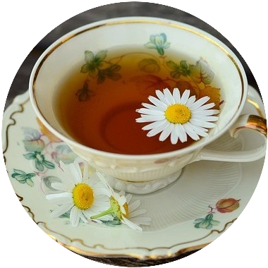 Chamomile is a flower widely used in teas