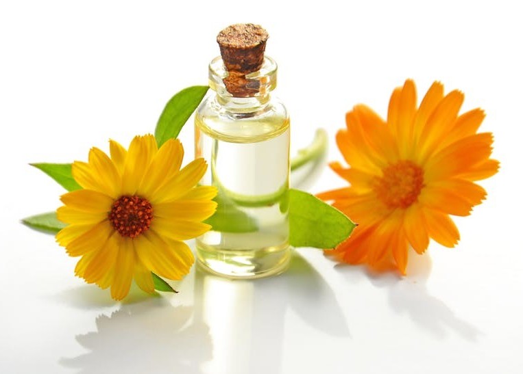 Chamomile Extract