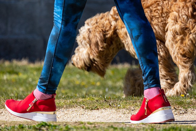 Dog, walking, exercise
