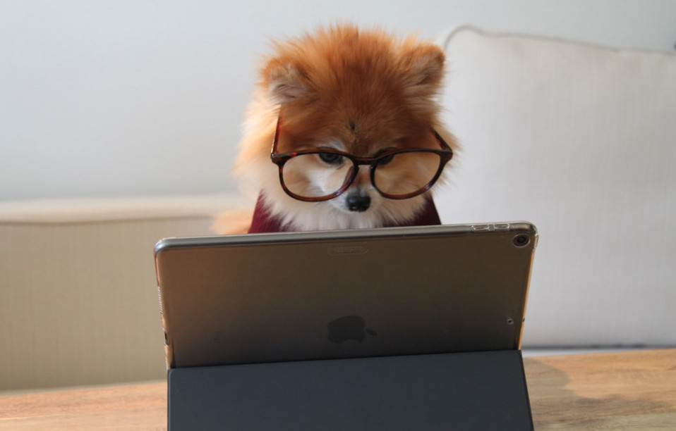creative ways to earn extra money from home