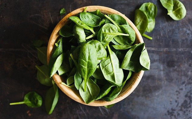 lose 10 pounds without the exercise