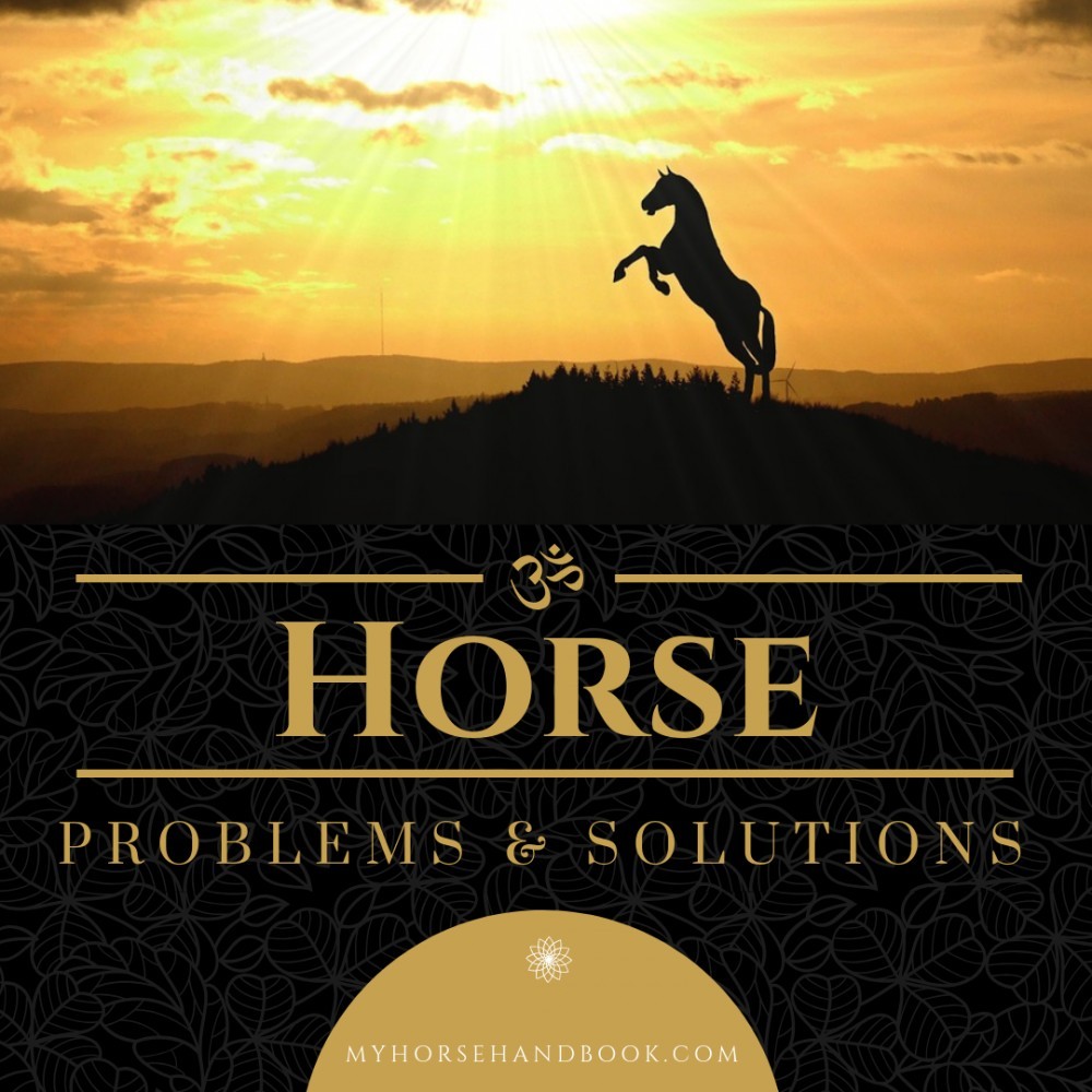 Horse Problems & Solutions My Horse Handbook