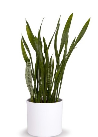 best rated air purifiers