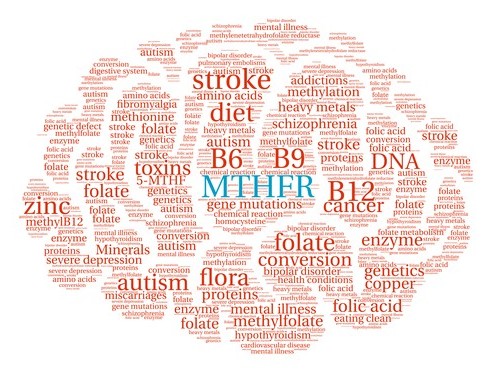 mthfr gene mutation testing