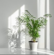 best rated air purifiers