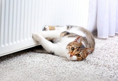 best rated air purifies