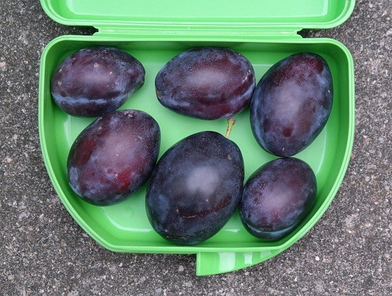 tupperware tupperware