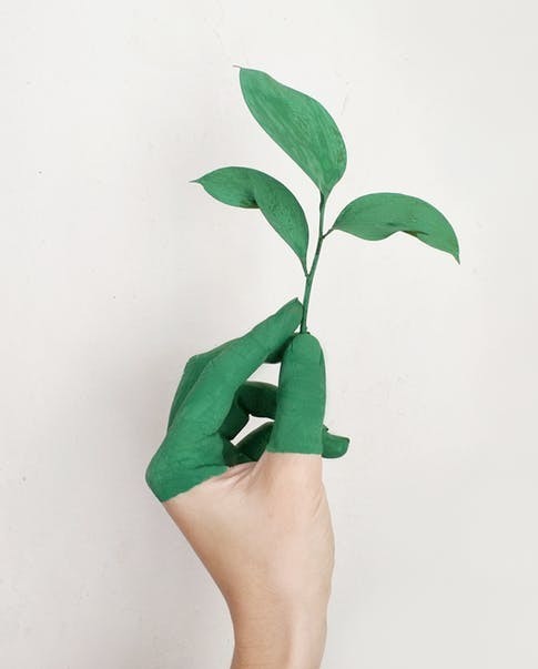 green-cloth-diapering green-cloth-diapering