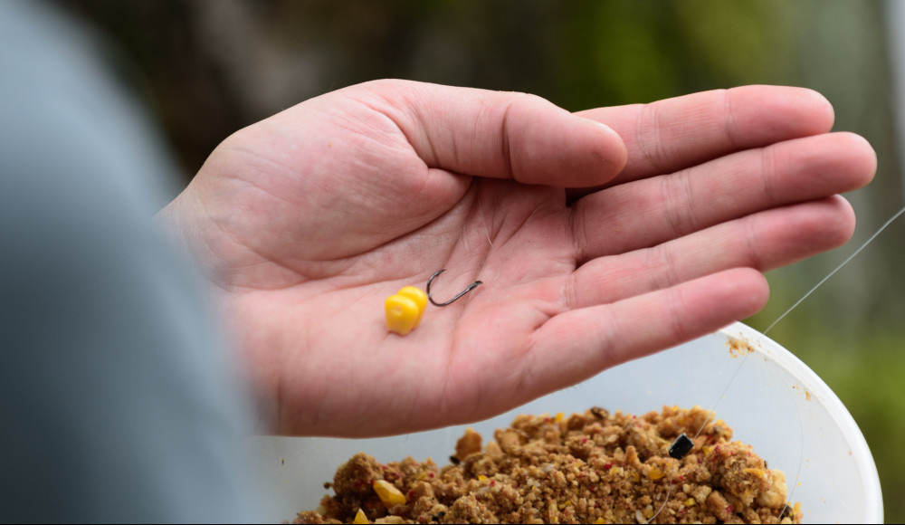 Carp Fishing With Sweet Corn Is It The Best Bait Carp Fishing With Sweet Corn Is It The Best Bait