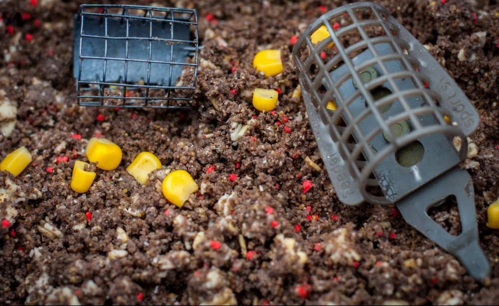 Carp Fishing with Sweet Corn Is it the best bait?