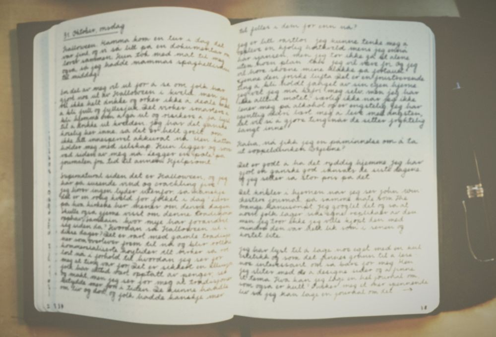 Journal page