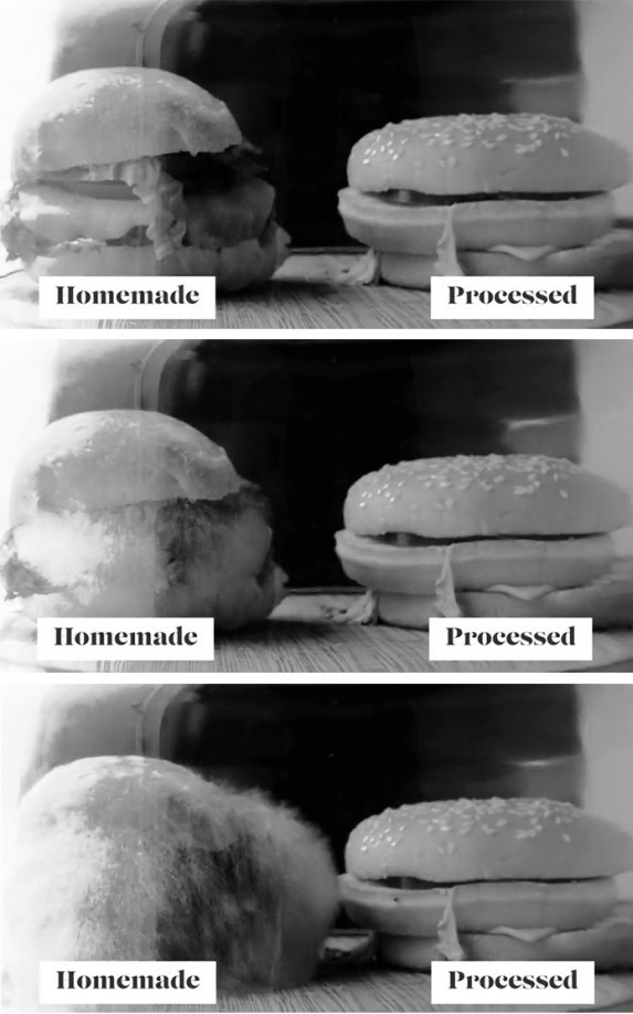 processed food spoils slower processed food spoils slower