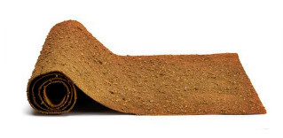 Bearded dragon substrate